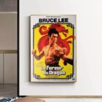 poster die furie des drachen