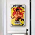 poster die furie des drachen