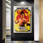 poster die furie des drachen