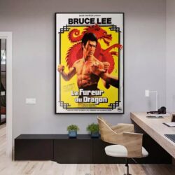 poster die furie des drachen