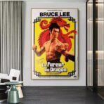 poster die furie des drachen