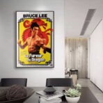 poster die furie des drachen