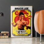 poster die furie des drachen
