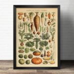 vintage gemuse poster