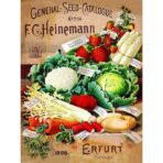 vintage gemuse poster 1