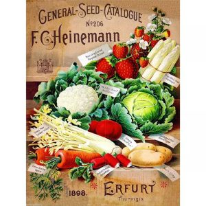 vintage gemuse poster 1