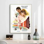 poster der mann aus rio