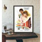 poster der mann aus rio