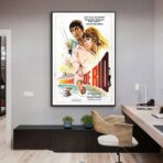 poster der mann aus rio