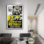 poster der mann der schrumpft