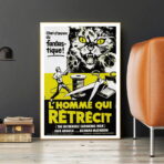 poster der mann der schrumpft