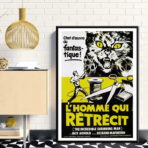 poster der mann der schrumpft