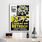 poster der mann der schrumpft
