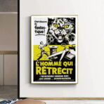 poster der mann der schrumpft