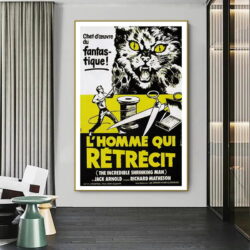 poster der mann der schrumpft