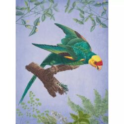vintage vogel poster