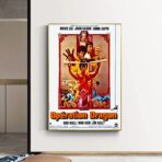 poster operation drache
