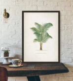 vintage palmen poster