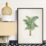 vintage palmen poster