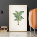vintage palmen poster