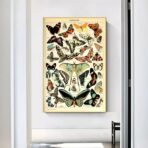 vintage schmetterling poster