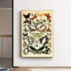 vintage schmetterling poster