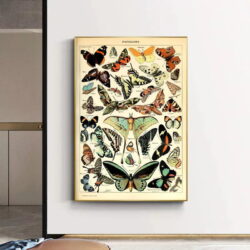 vintage schmetterling poster