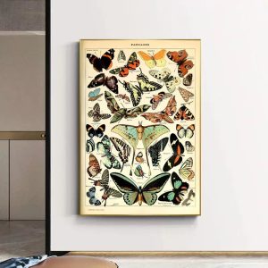 vintage schmetterling poster