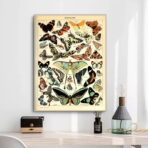 vintage schmetterling poster