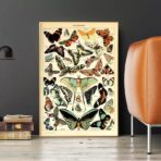 vintage schmetterling poster