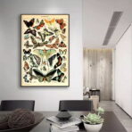 vintage schmetterling poster