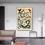 vintage schmetterling poster