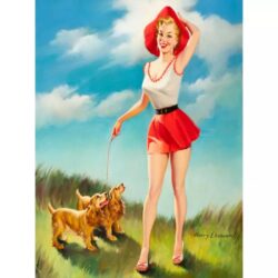 pin up poster jahr 60