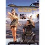 pin up luftfahrt poster