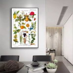 vintage pflanzenplakat