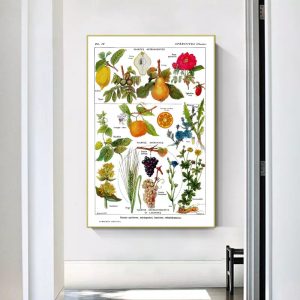 vintage pflanzenplakat