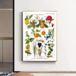 vintage pflanzenplakat