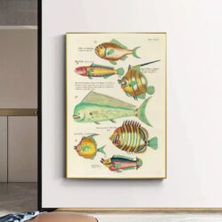 vintage fisch poster
