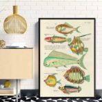 vintage fisch poster