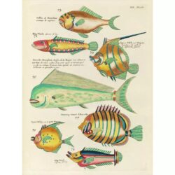 vintage fisch poster