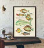 vintage fisch poster