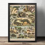 alt reptilien poster