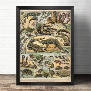 alt reptilien poster
