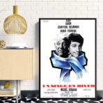 poster ein affe im winter