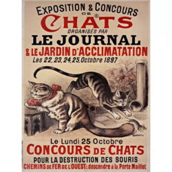 vintage katzen poster