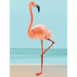 vintage flamingo poster 1