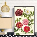 vintage blumenposter