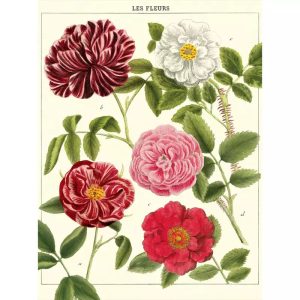 vintage blumenposter