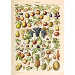 vintage frucht poster 1