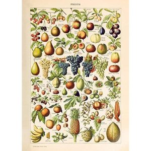 vintage frucht poster 1